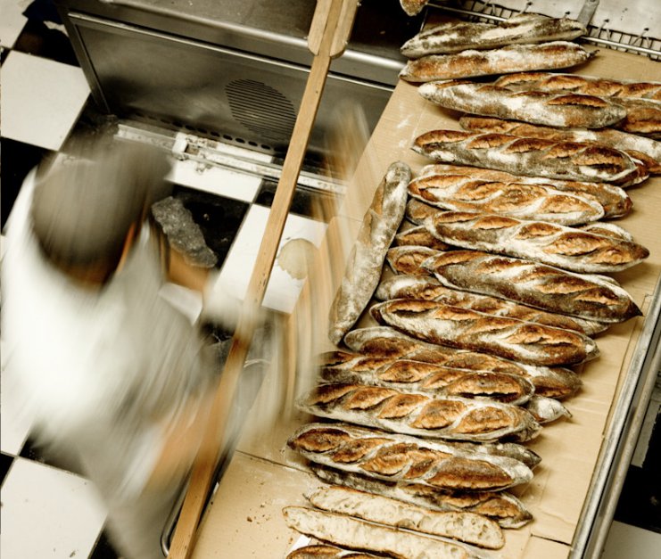 Tasty baguettes being removed from the oven
