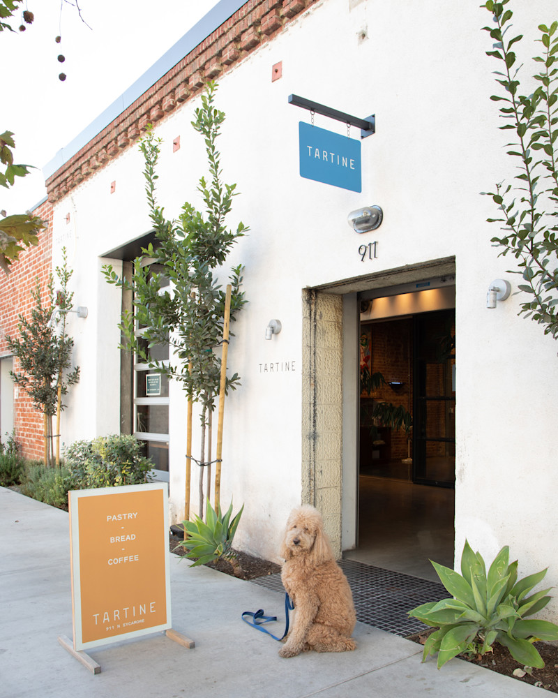 An exterior view of our Sycamore bakery with a dog patiently waiting for its human